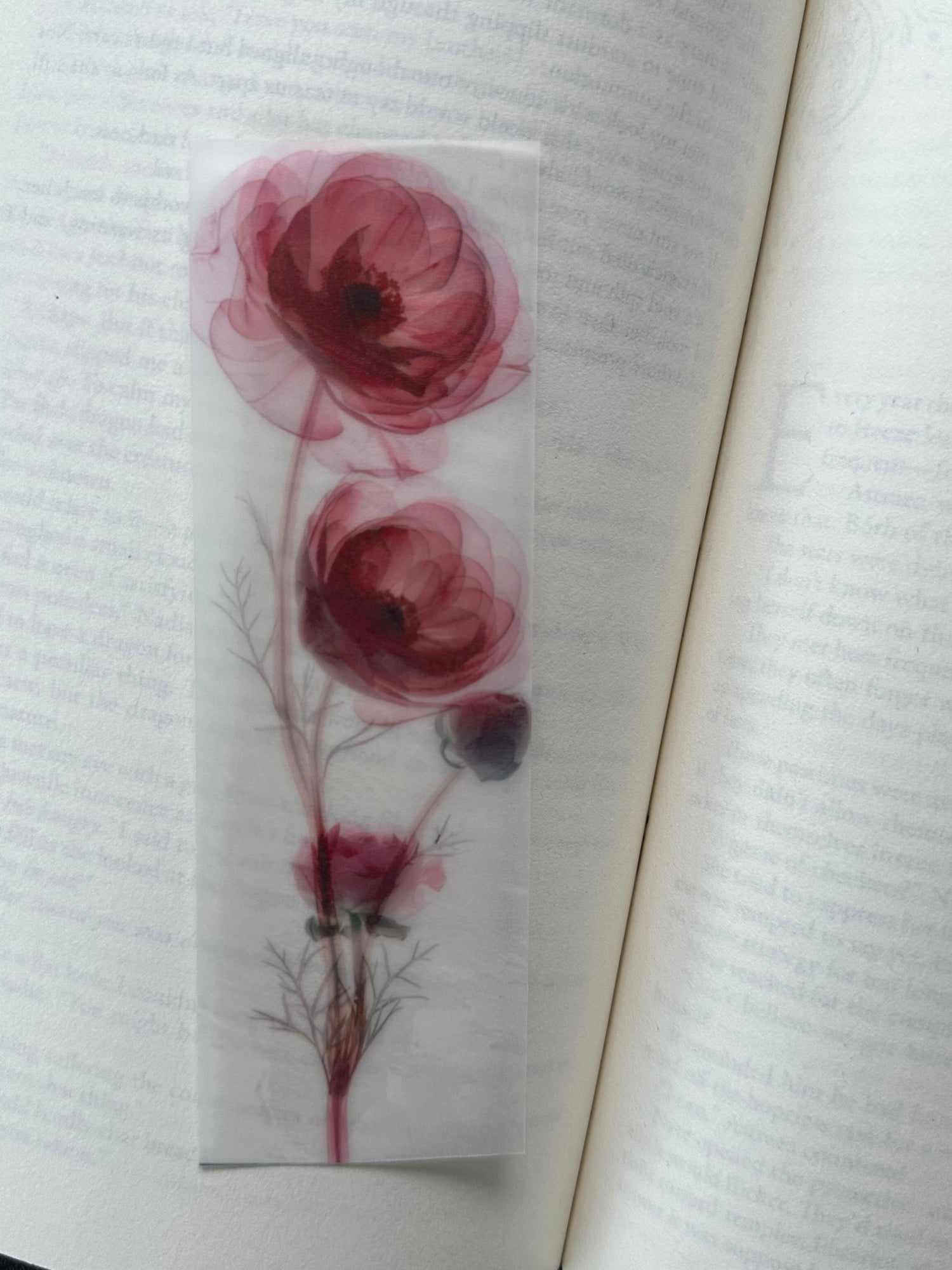 Vellum Paper Bookmarks
